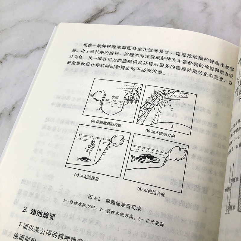 [醉染正版]轻轻松松池塘养锦鲤 轻松养殖致富系列 池塘养鱼观赏鱼养殖技术大全书籍观赏鱼常见疾病防治实用喂养护理饲养书籍入高清大图