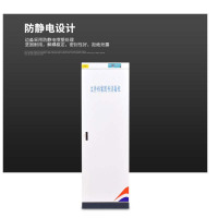 萃姿尔(TRESOR)400L文件现金消毒柜放800万元55*51*168cm(三到四个工作日送)HS-380B