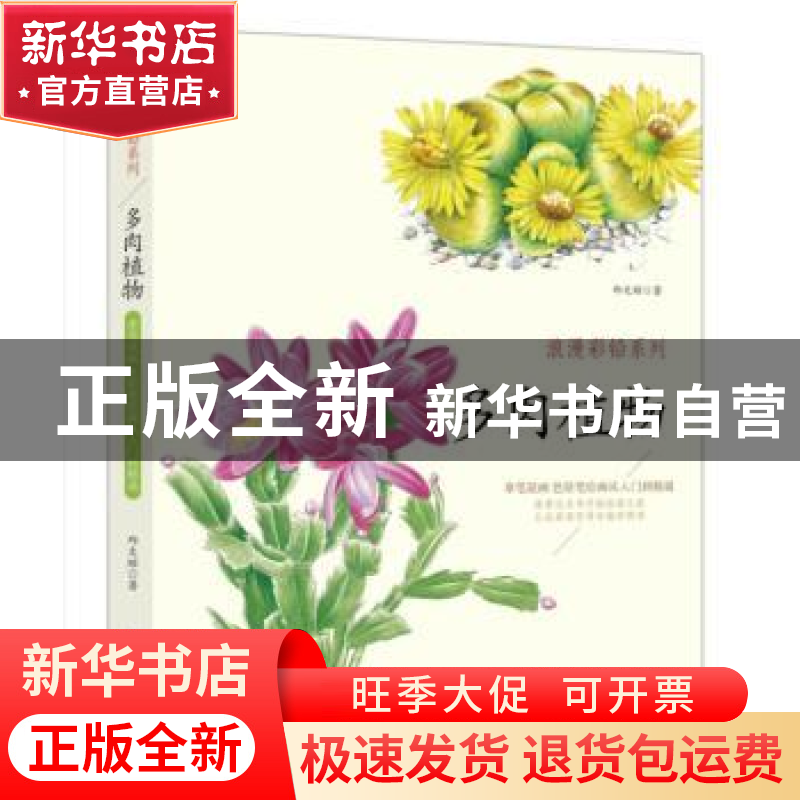正版 浪漫彩铅系列:拿笔就画 色铅笔绘画从入门到精通:多肉植物