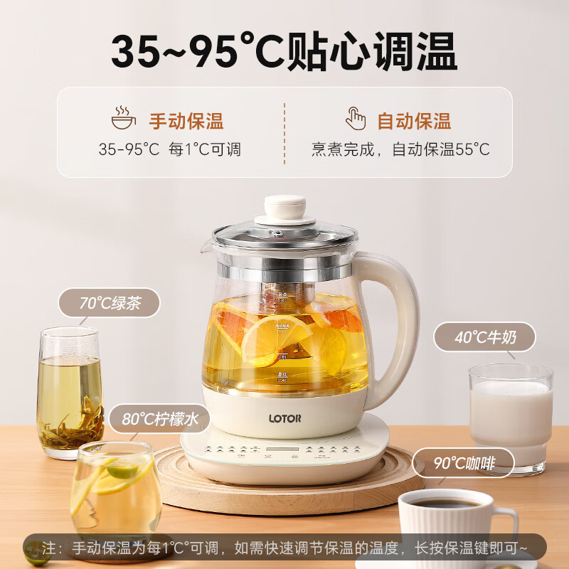 LOTOR浣熊养生壶家用煮茶壶迷你煮茶器多功能花茶壶加厚恒温烧水壶大容量 白色滤筒款H6