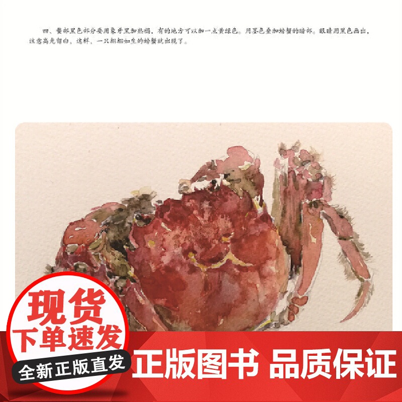 轻水彩生活书系——一日三餐·海味高清大图