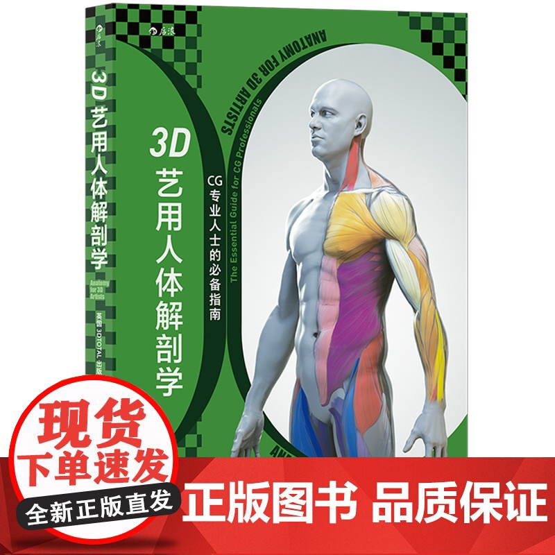 3D艺用人体解剖学 600幅模型建构分解图 从2D到3D满足各领域艺术家的创作需求 数字雕刻人体艺术书籍 后浪正版高清大图
