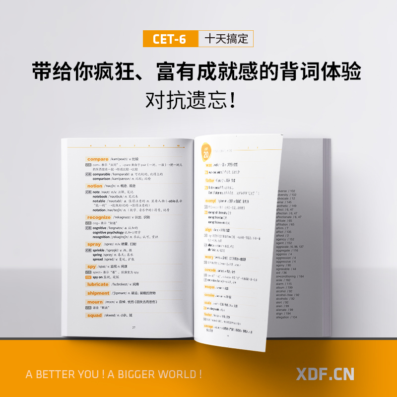 [正版]备考2025年6月十天搞定六级词汇:便携乱序版 10天6级 cet6 备考2025年6月大学英语考试书籍网课道高清大图