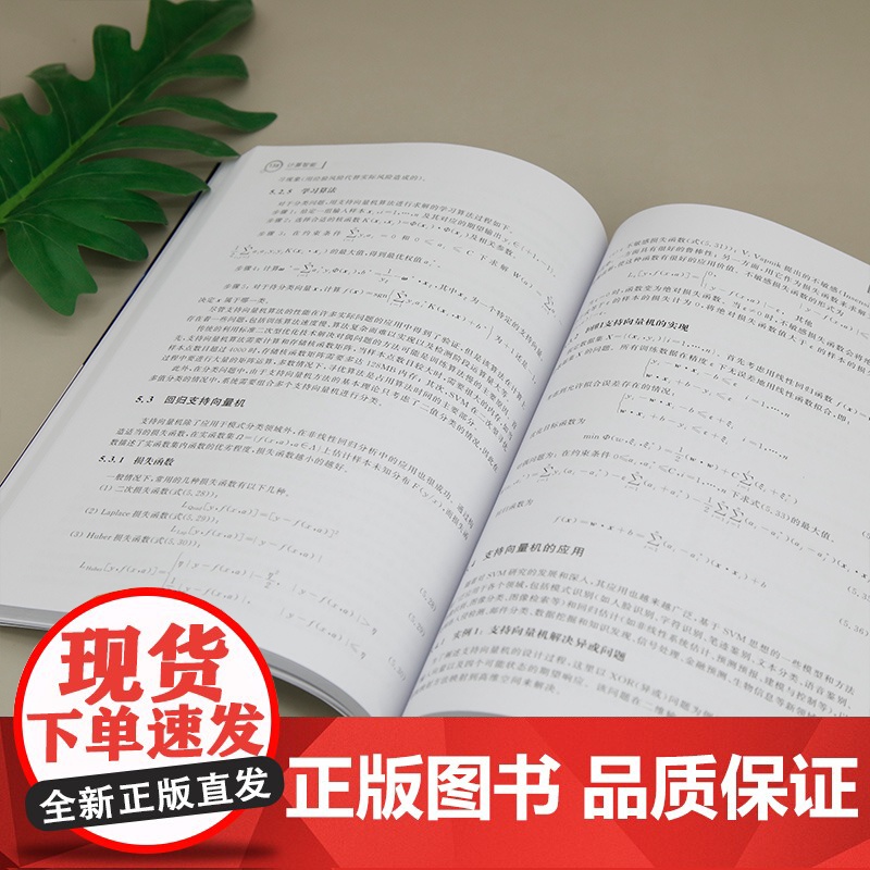 [正版新书]计算智能 陈丽芳 侯伟 清华大学出版社 计算智能,人工智能,大数据高清大图