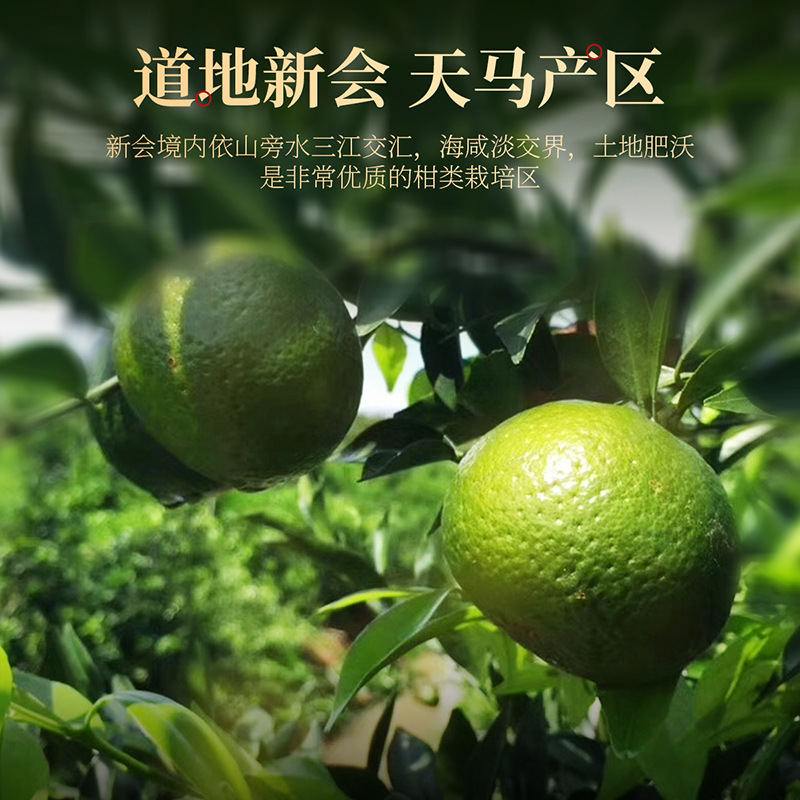[2罐]100g铁罐15年新会陈皮 新会老陈皮干 大红皮 茶叶花草茶泡水 精选好货 橘皮 15年桔子皮高清大图