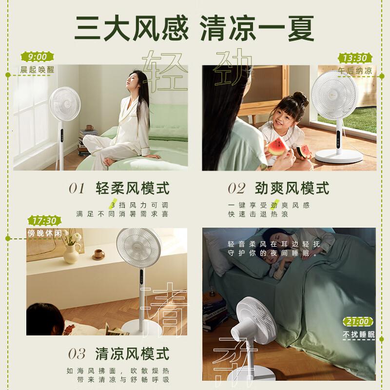 小熊(BEAR)DFS-D47F2电风扇单位:台高清大图