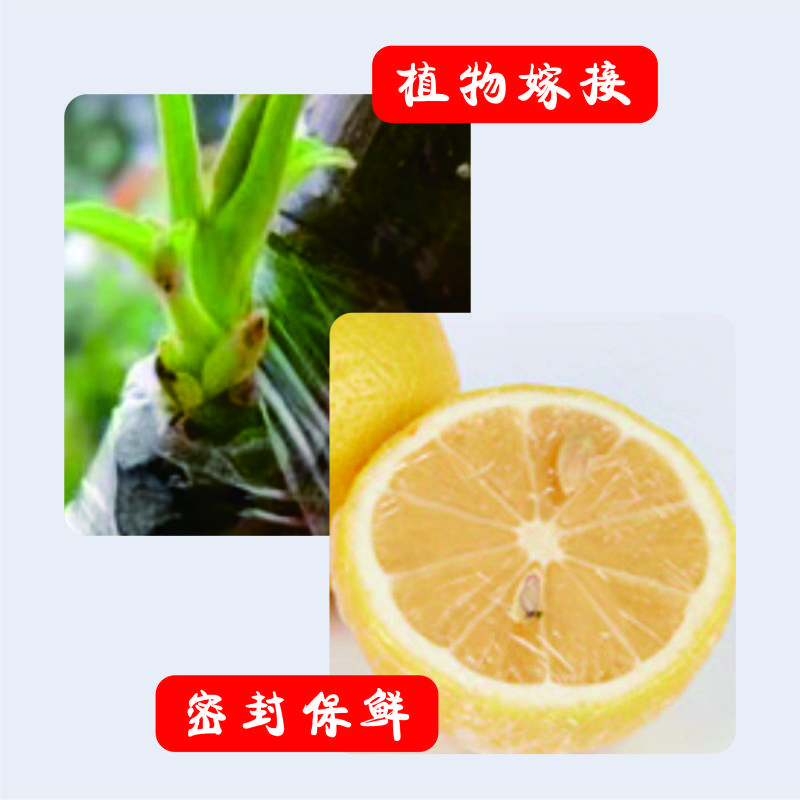 烹巅(Poondear) 保鲜膜 40cm 多功能收纳保鲜 打包密封高清大图