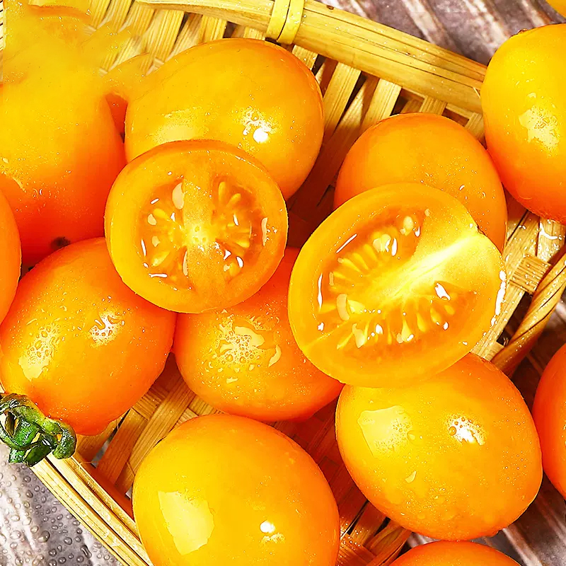 [西沛生鲜]福建漳州新鲜黄金圣女果 3斤装 约100-150个 现摘番茄水果