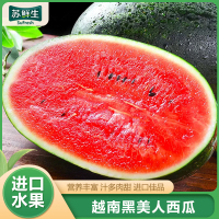 [苏鲜生]越南进口 东南亚热带黑美人西瓜1个 4-6斤 新鲜水果 汁多肉甜