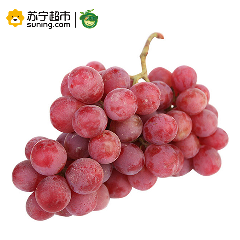 展卉 智利红提 提子 进口葡萄 500g装 新鲜水果