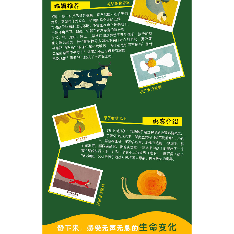 醉染图书孩子的套自然认知绘本:地上·地下9787510162503