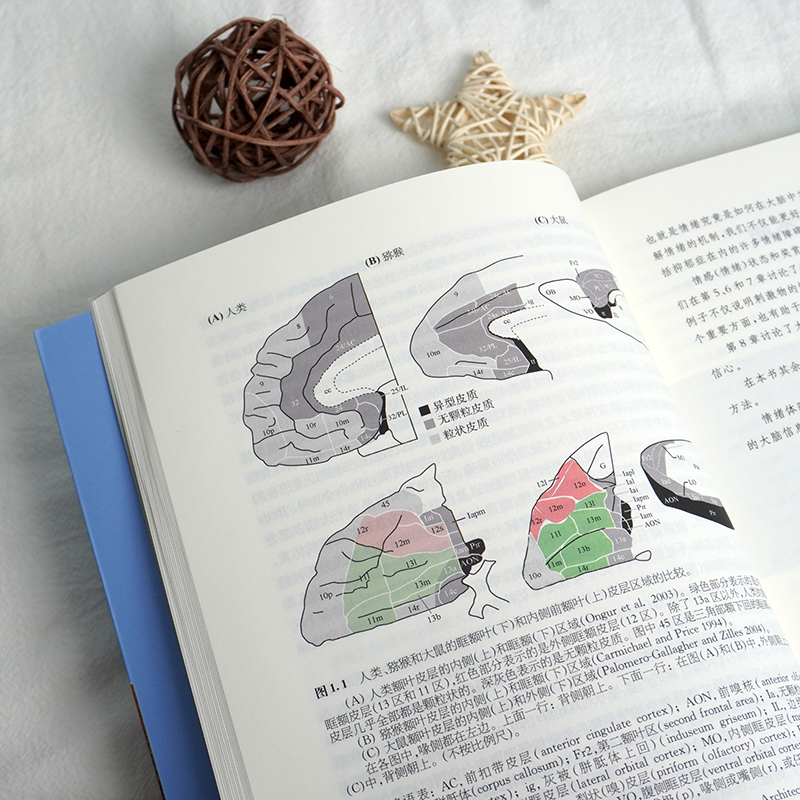 醉染图书脑、情绪与抑郁9787576020373高清大图