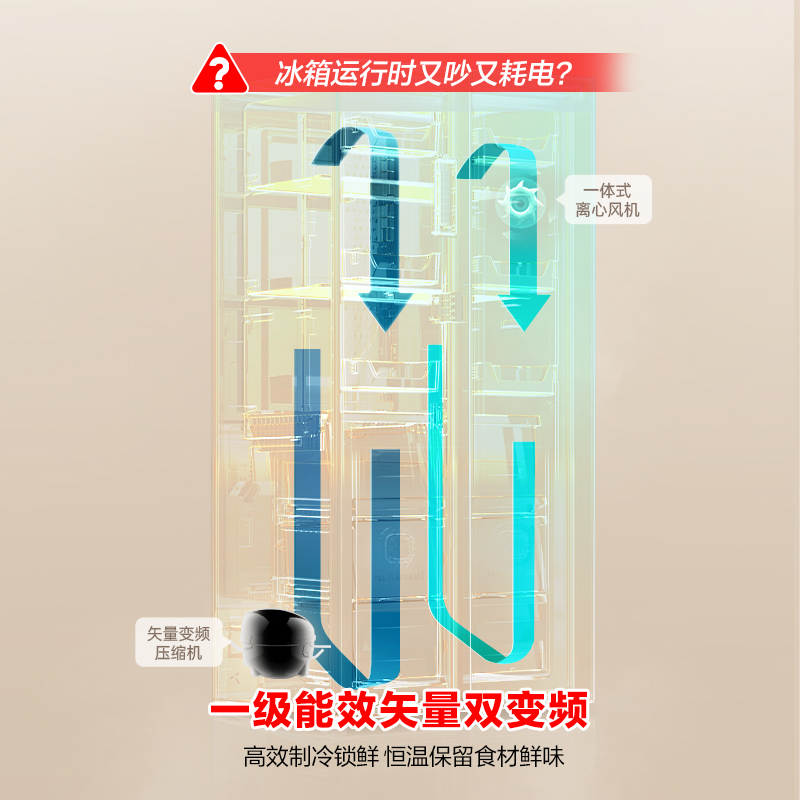 容声(Ronshen) 609升对开门冰箱 两门双变频节能一级能效CAA离子除菌净味 国补 BCD-609WD11HP高清大图