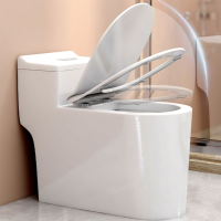 马桶坐便器家用座便器抽水小户型虹吸式普通卫生间防冻坐厕224