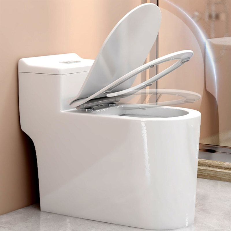 马桶坐便器家用座便器抽水小户型虹吸式普通卫生间防冻坐厕224