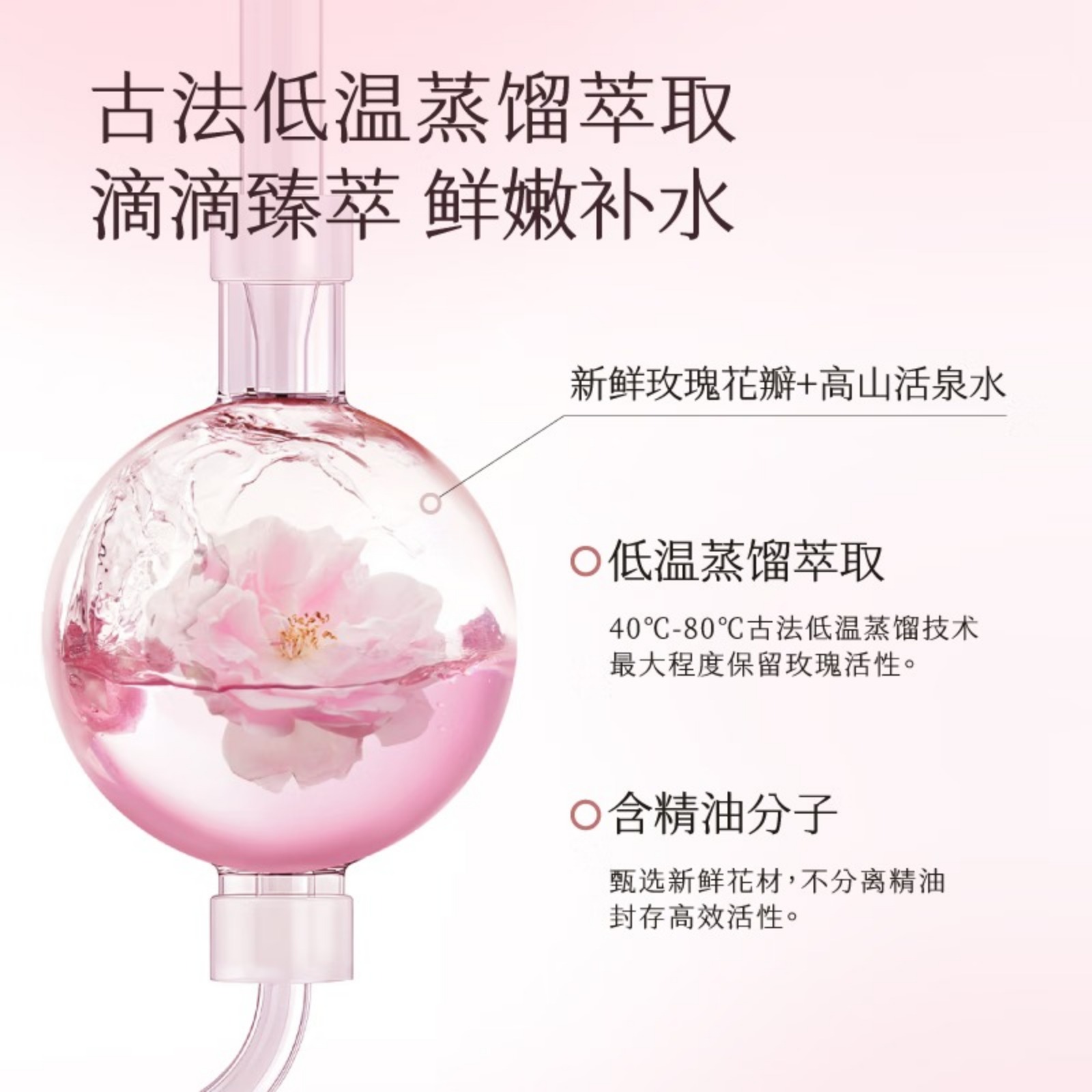 半亩花田玫瑰纯露爽肤水湿敷水天然补水保湿细腻肌肤女玫瑰花水250ml*2高清大图