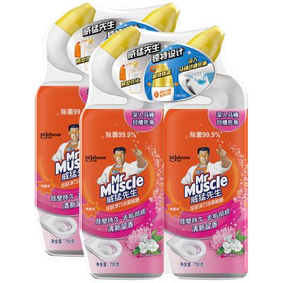 威猛先生洁厕啫喱陌上花开750g*4