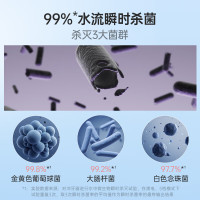 松下(Panasonic)冲牙器洗牙器超声波洁牙器立式便携水牙线 水流瞬时杀菌舌苔清洁 极光塔EW-1533-A 蓝色