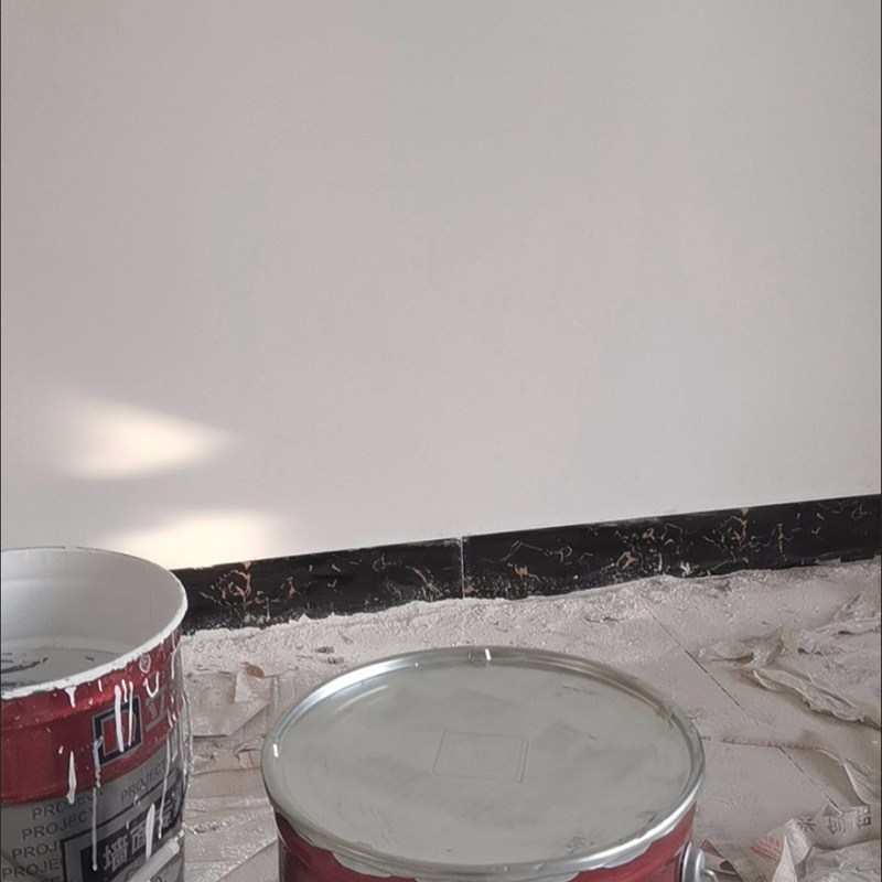 洋蝲蝲 内墙涂料 25kg 桶高清大图