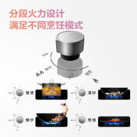 [国补20%]方太联动5.0KW火力一级能效方太新月燃气灶天然气02-THF1白灰百搭厨房 白色 02-THF1-W