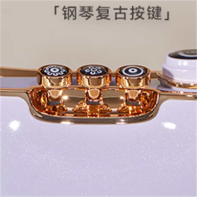 大宇手持挂烫机 HI-036 星黛紫(个)高清大图
