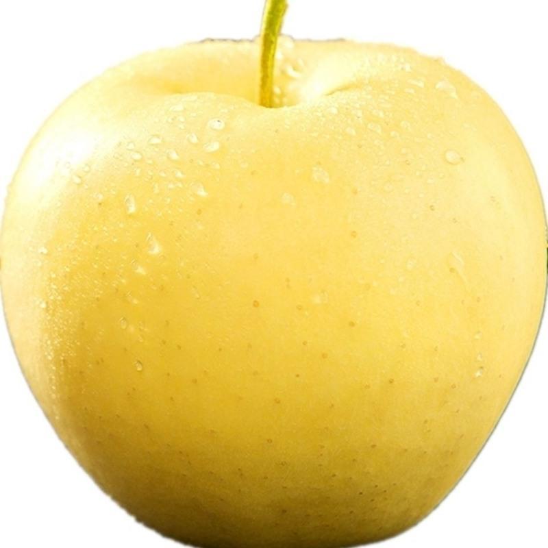 赛卡伊辽宁黄元帅苹果新鲜黄金帅苹果水果10甜粉婴儿刮泥面黄蕉5斤