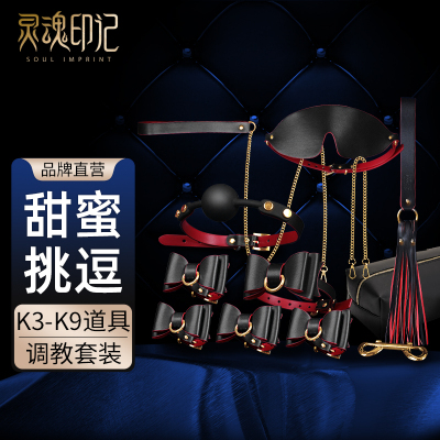 灵魂印记SM套装高端情趣束缚捆绑工具肛塞惩罚SP调教用品道具