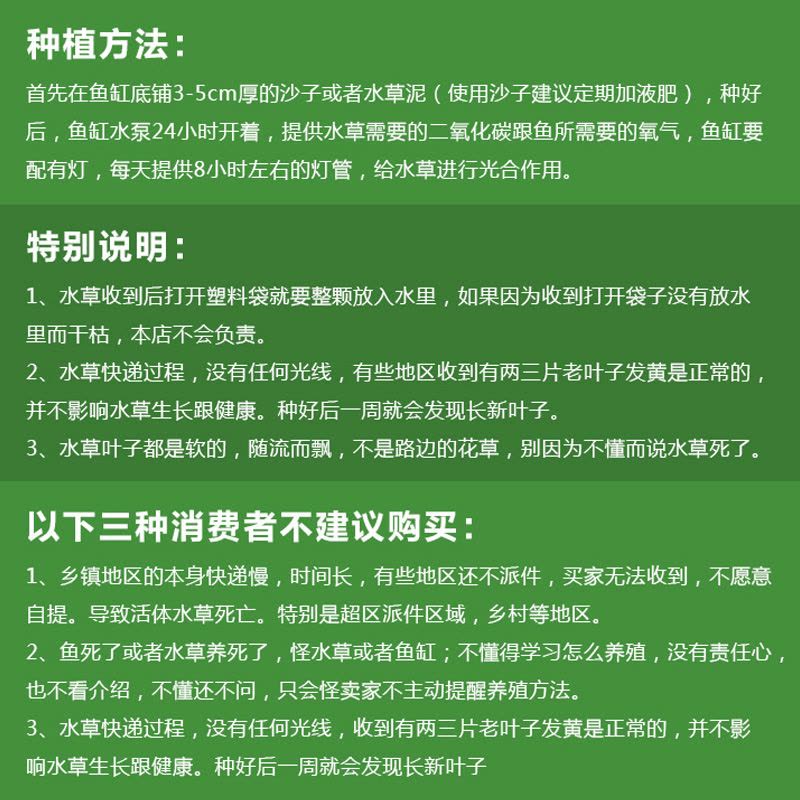 大九叶皇冠草真水草鱼缸装饰懒人水草淡水有茎类中后景性草图片