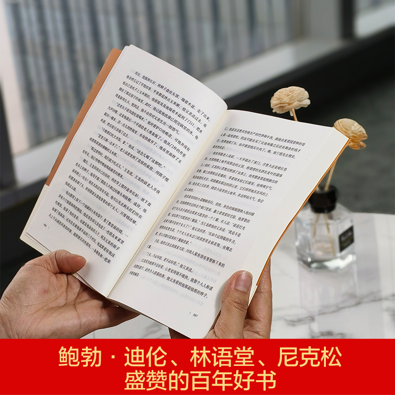 大地 [正版]大地赛珍珠著 荣获诺贝尔奖+普利策奖,赛珍珠纪念馆读本,2024新版一字未删,看她的文字就像看到了余华的高清大图