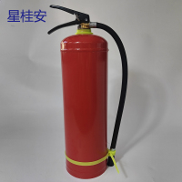 星桂安干粉灭火器4公斤 消防检查安检过关车载灭火器小汽车轿车内用灭火器家庭用商用公司办公室商场店铺消防灭火器消防器材