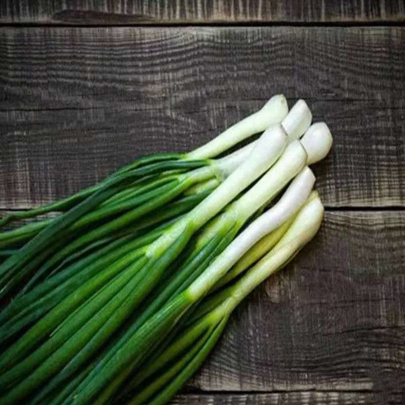 赛卡伊四川农家小香葱新鲜火葱细葱现摘现发蘸水水葱时令蔬菜
