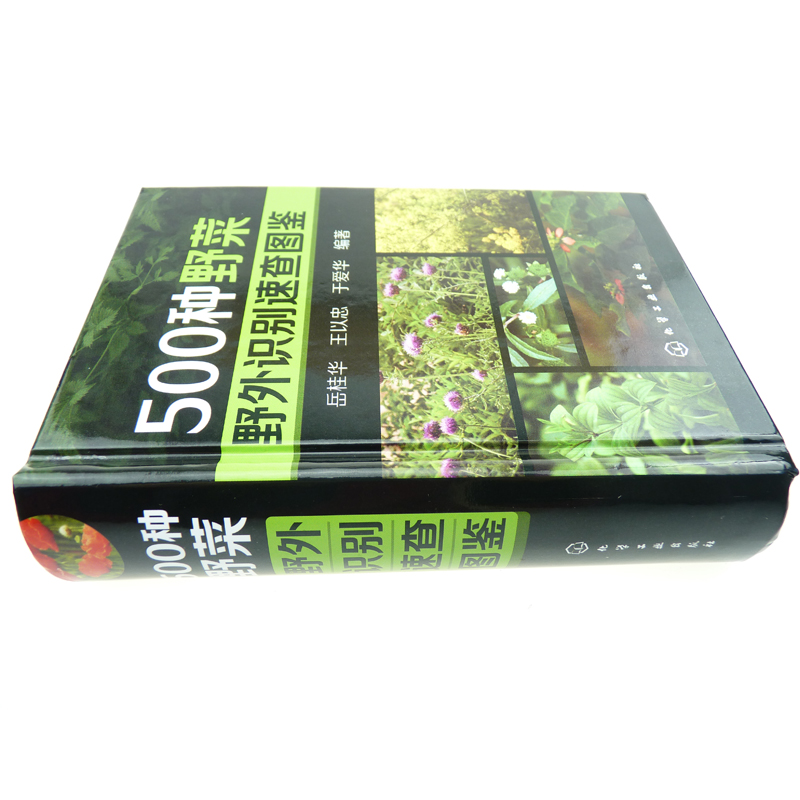 1500种中草药野外识别彩色图鉴 [正版]野菜图鉴大全500种野菜野外识别速查图鉴中国野菜野果植物菌类图鉴图谱一本通高清大图