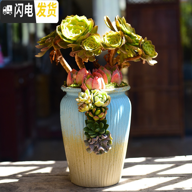 三维工匠多肉创意个性大口径 陶瓷肉肉植物粗陶 花盆