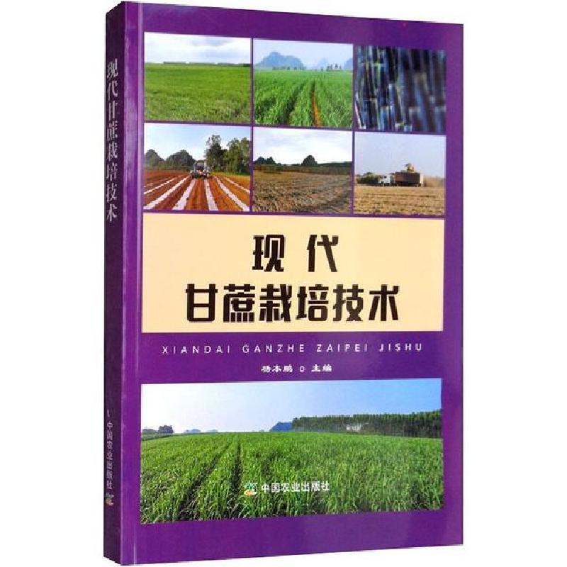 正版新书】现代甘蔗栽培技术杨本鹏9787109262263