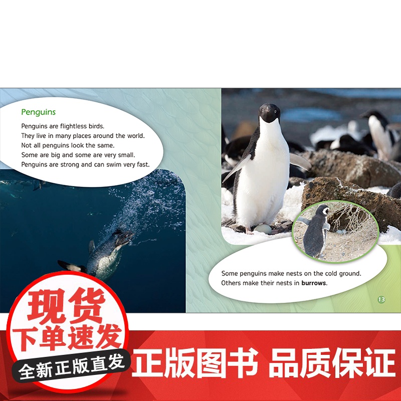 [外研社]丽声三叶草分级读物第九级(16册)高清大图
