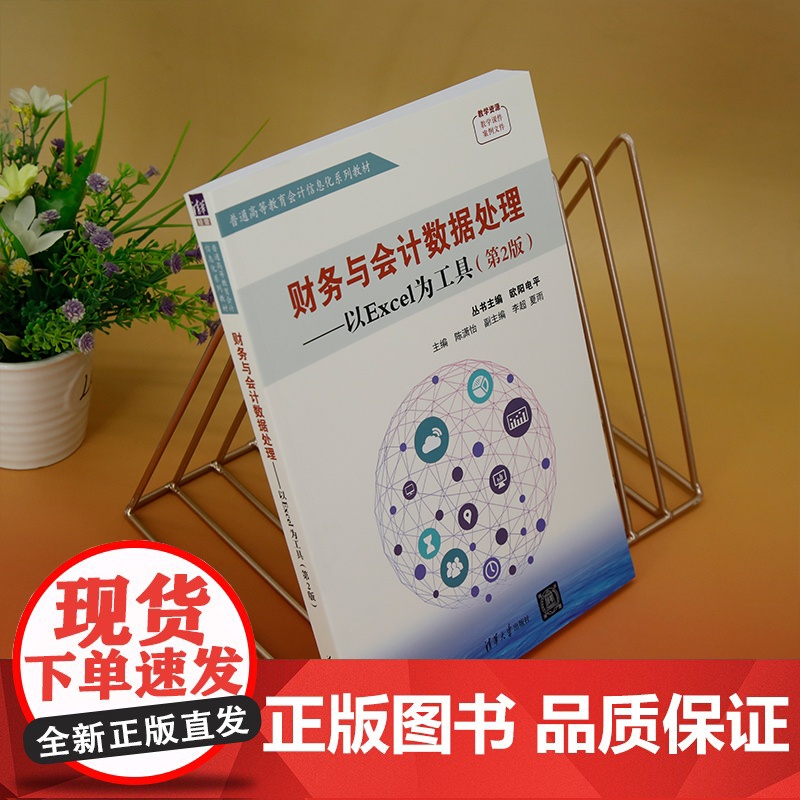 正版新书 财务与会计数据处理 以Excel为工具(第2版) 欧阳电平 陈潇怡 李超 夏雨 清华大学出版社 表处理软件高清大图