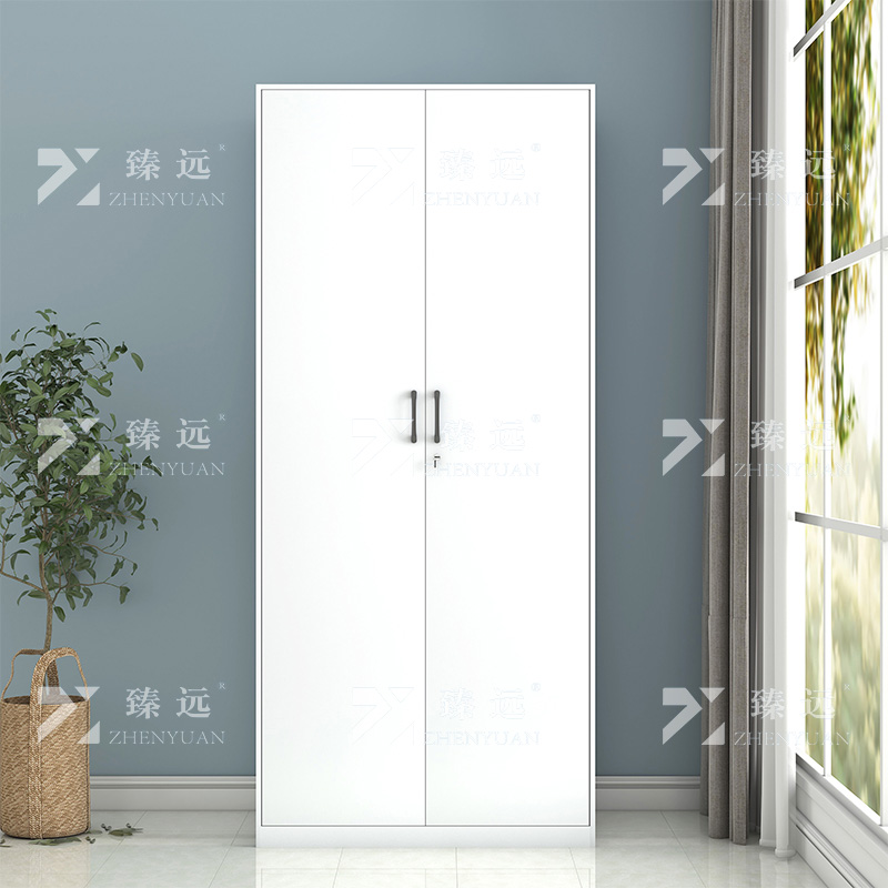 臻远 ZY-YTG-01 阳台柜双门衣柜钢制铁皮柜白色双门800mm宽内四板高清大图