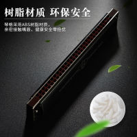 天鹅(Tian E)28孔口琴成人高级 音簧复音重音初学者成人儿童口琴演奏