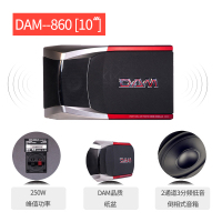 dam 860 高配套装KTV卡包音箱专业KTV酒吧家庭卡拉OK音箱 会议舞蹈室 晚会主持 户外唱歌比赛表演