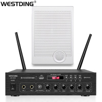 威斯汀(WESTDING)壁挂音箱无线天花吸顶喇叭室内超市店铺公共广播音响套装背景音乐系统挂壁喇叭202*1