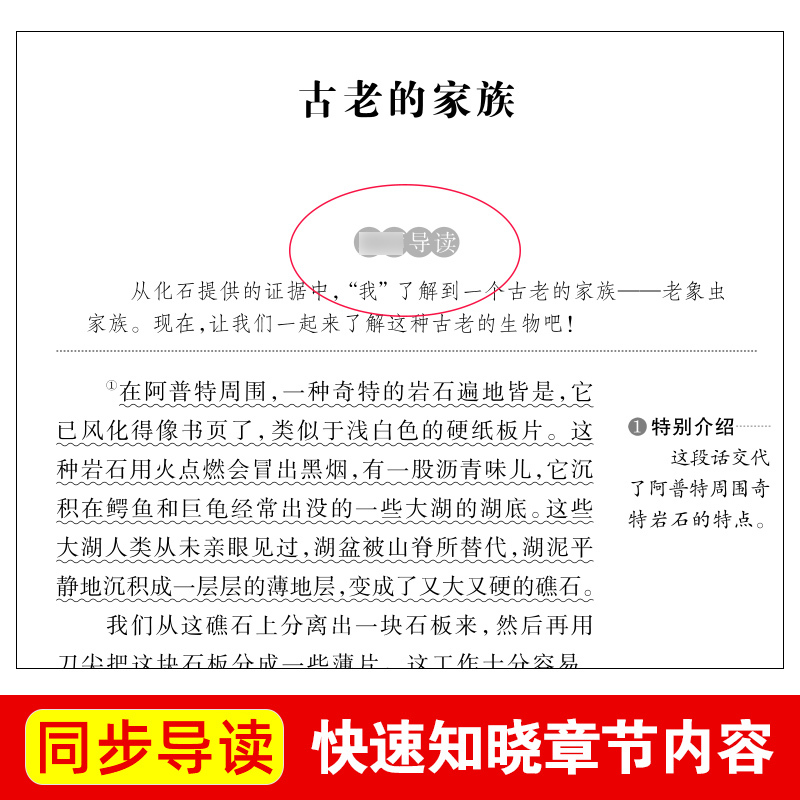 昆虫记 [正版]无障碍精读昆虫记法布尔原著完整版三年级小学生课外书阅读四五六上册下册儿童文学童话故事书读物青少年世界经典