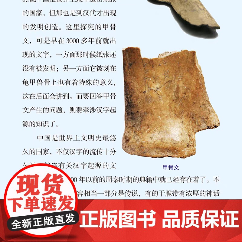 正版中国古代甲骨文 甲骨文知识字典传统文化汉字研究国学经典历史文字中国说文解字汉字工具书籍高清大图