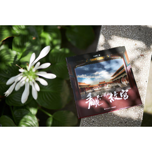 [正版]看见不一样的故宫精装版 全彩 苏唐诗 散文随笔专业摄影师视角 带读者领略故宫四季景色 故宫前院长单霁翔推高清大图