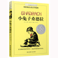 小兔子桑德拉/长青藤国际大奖小说书系 [美]卡罗尔·肯德尔 著 徐海幈 译 著 陈静抒//罗玲 译 少儿 文轩网