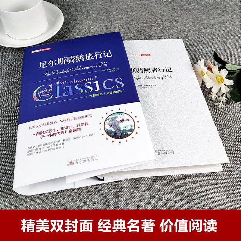 尼尔斯骑鹅旅行记 [正版]尼尔斯骑鹅旅行记原著历险记完整无删减版原版六年级下册必读的课外书米尔斯美绘珍藏快乐读书吧全套小