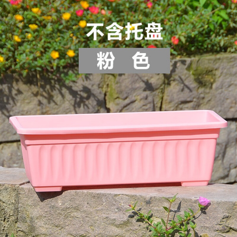 长方形花盆图片大全集第1页 驾考预约大全