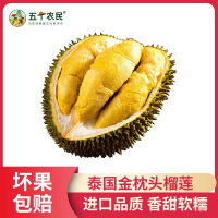 [五个农民]泰国进口一级金枕榴莲应季新鲜水果9-10斤1-2个装[包4房肉]