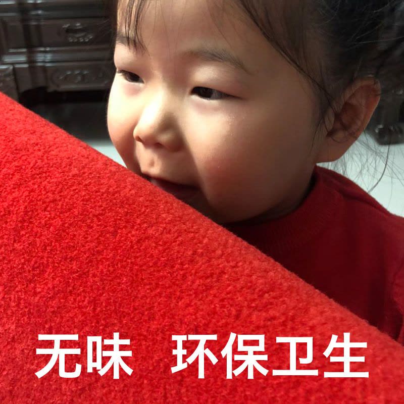 进地垫垫入户厅地毯厨房地垫浴室防滑垫子家用吸水垫子 紫色铁塔 120*120厘米图片