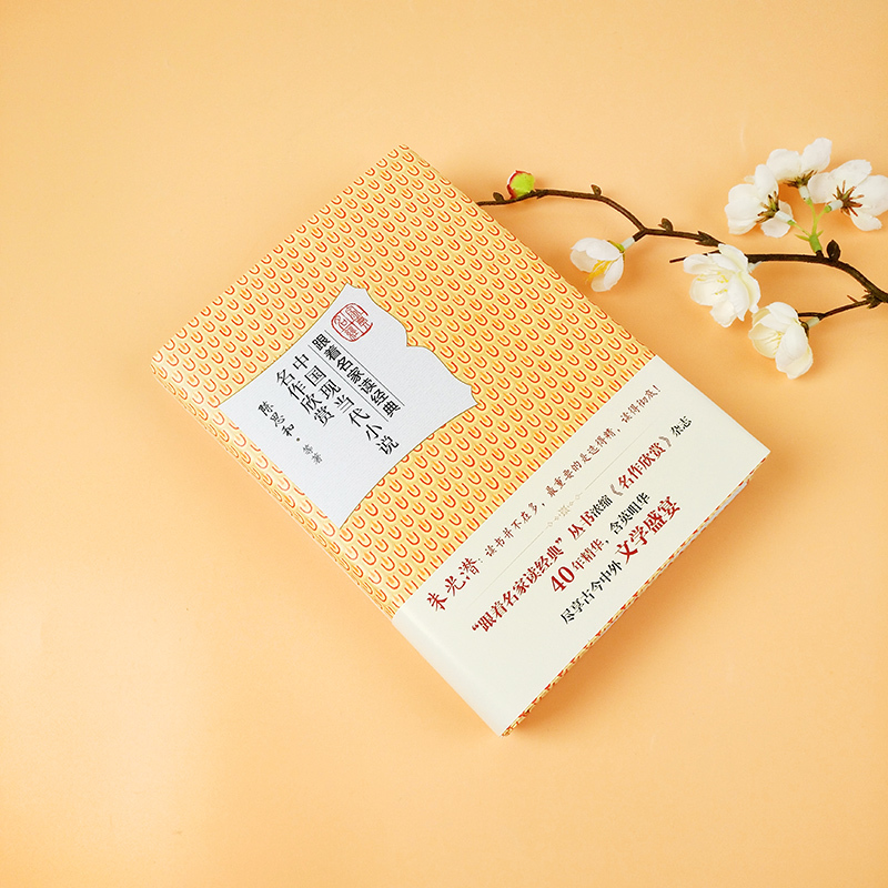 中国现当代小说名作欣赏 [正版]中国现当代小说名作欣赏 陈思和 跟着名家读经典系列 名家赏析 文学名作 文学普及读物 文