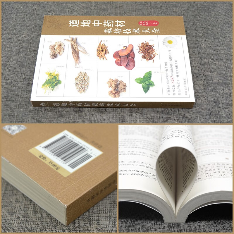 道地中药材栽培技术大全 [正版]道地中药材栽培技术大全 郭巧生 王长林 药用植物 中药种植 中草药大全 药剂学 中医草药高清大图
